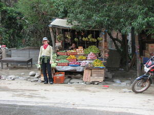 Fruit Stand 2