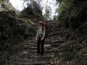 Langtang Stairs