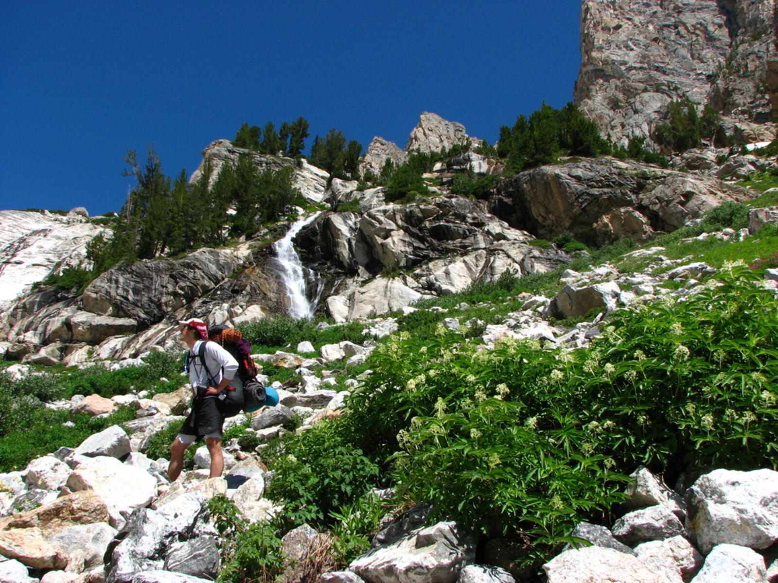 Bryan at the Meadows