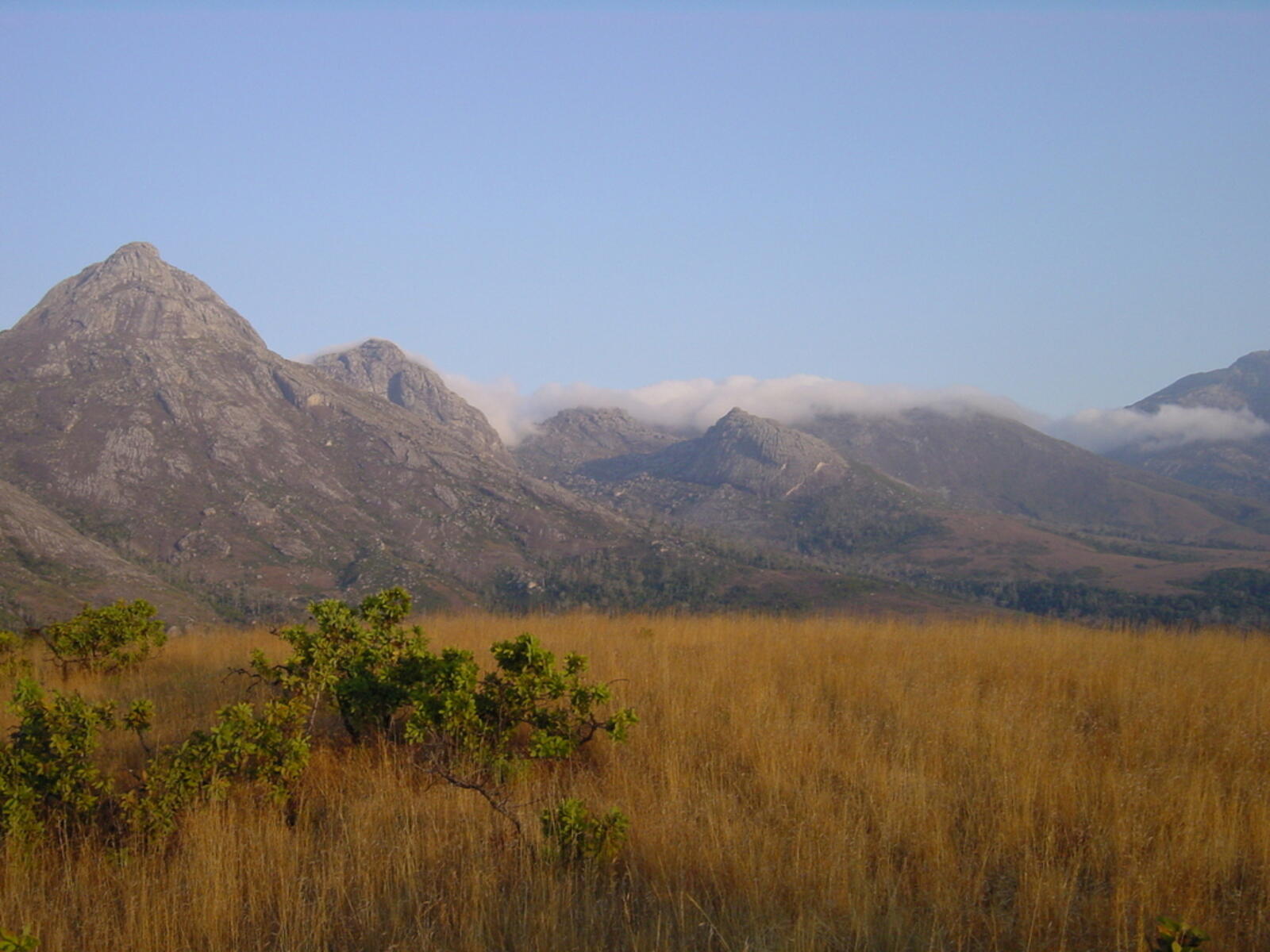 Mulanje Massif