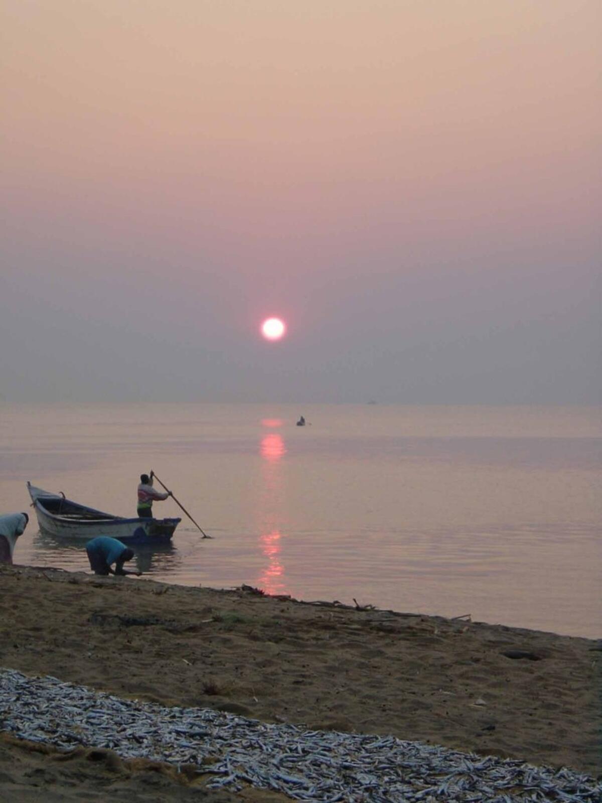 Bringing in the Catch