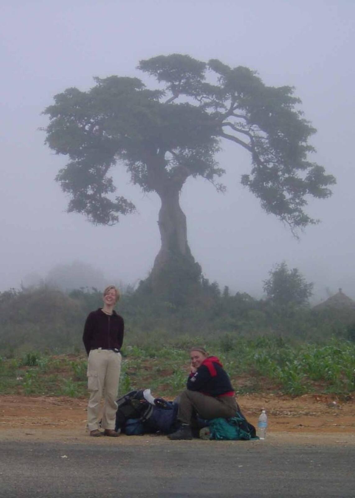 Hitchhiking Companions