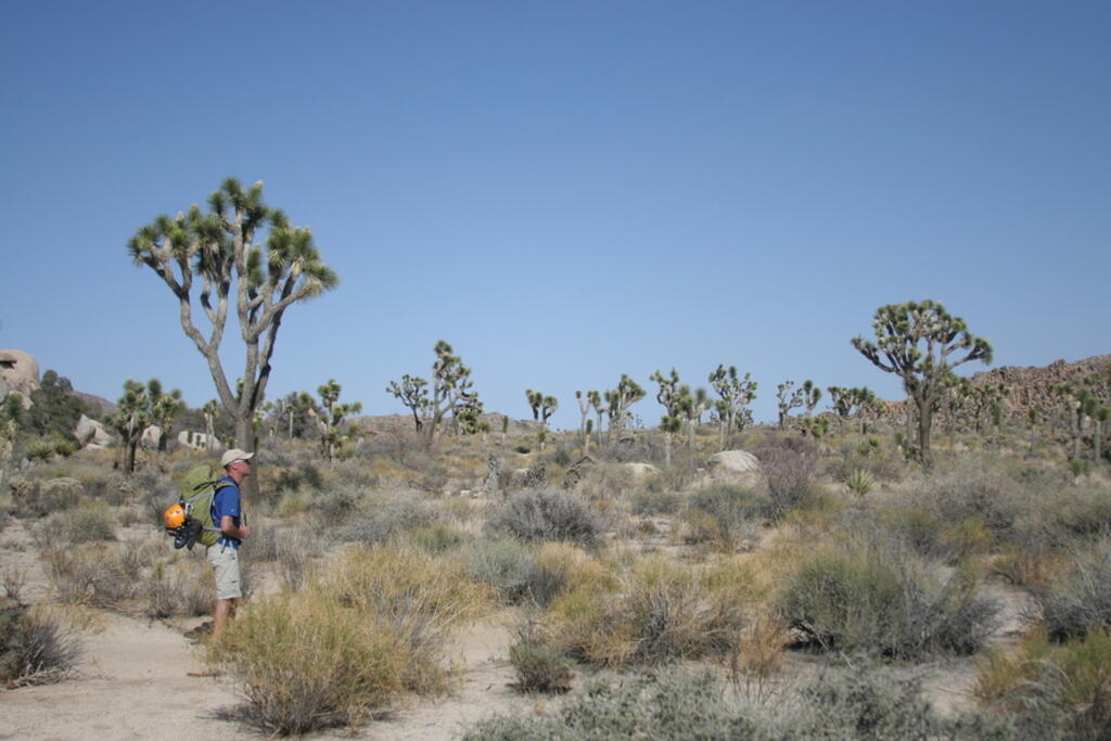 Me Taking in the Desert