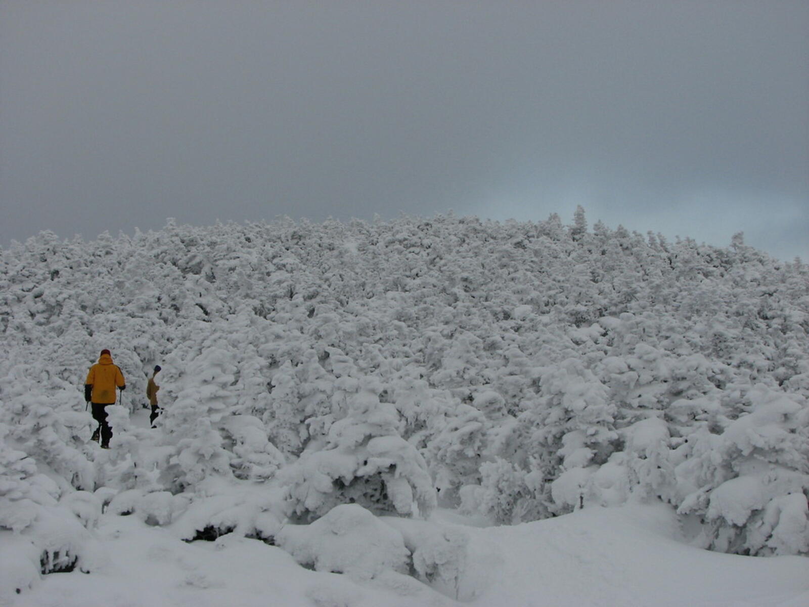 Sunset on the Summit
