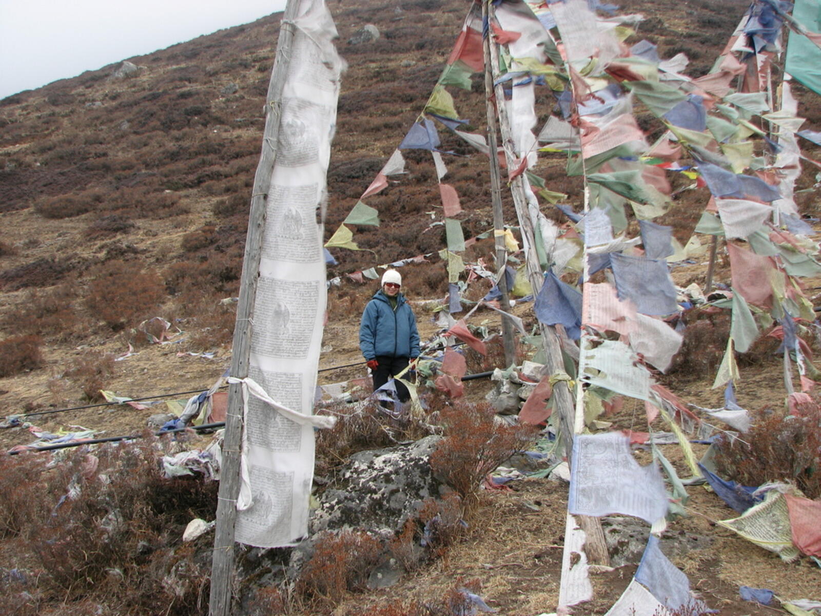 K in the Prayer Flags