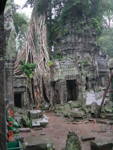Ta Prohm