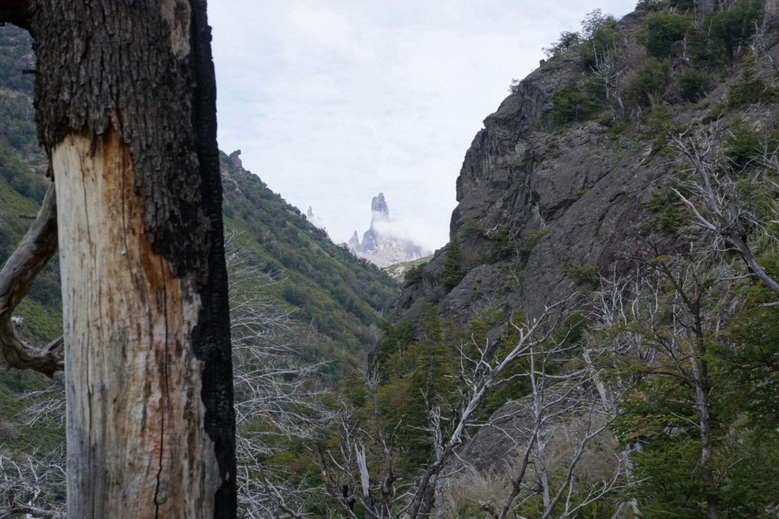 First View Torre Principal