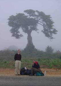 Hitchhiking Companions