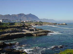 Hermanus